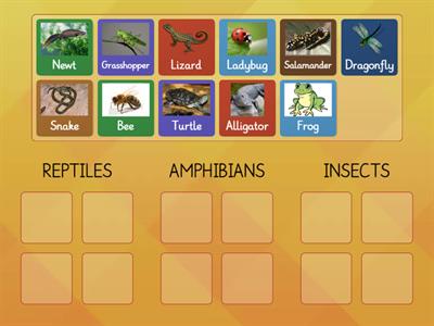 Reptiles, Amphibians, & Insects Group Sort