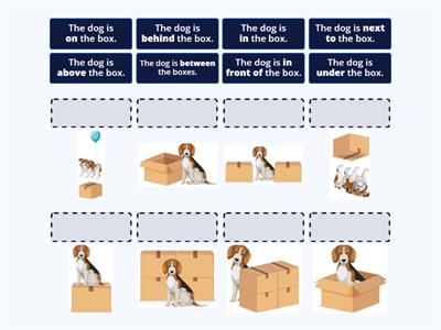 Prepositions of Place: the dog is ___ the box