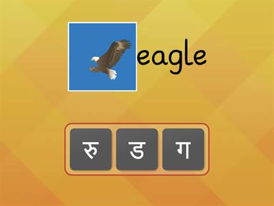 Scramble Birds Name 