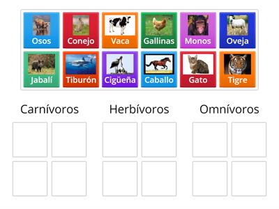 Animales carnívoros, herbívoros, omnívoros