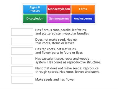 Matching up: Classify plants