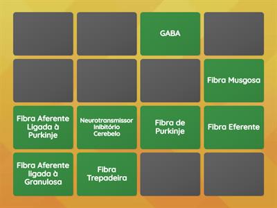 Circuito Cerebelar