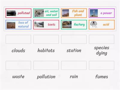 Pollution Vocabulary 