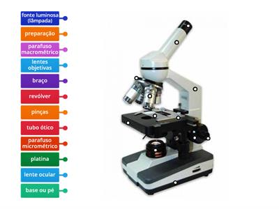 MOC - constituição do Microscópio Ótico Composto