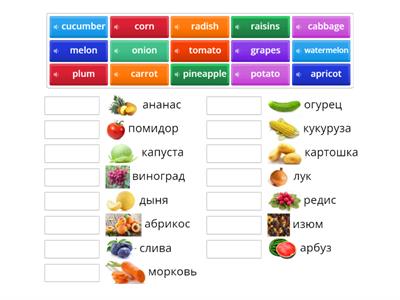 Fruits and Vegetables