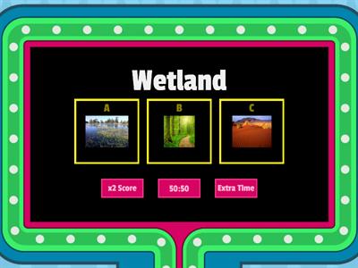 wetland habitat 