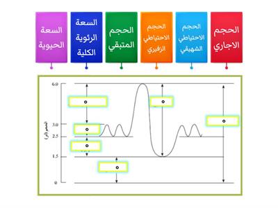 ورقة عمل الأحجام الرئوية