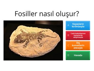 KAYAÇLAR VE FOSİLLER - 4SINIF(b&m)