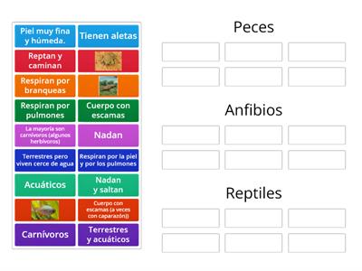 Peces, anfibios y reptiles