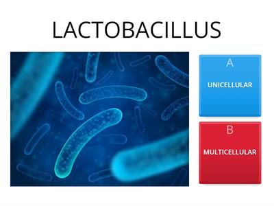 UNICELLULAR OR MULTICELLULAR