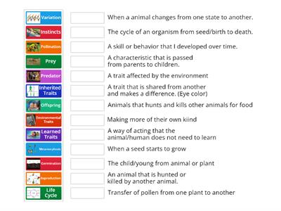 Science Vocabulary - Keywords