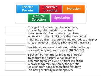 Evolution Vocab Review