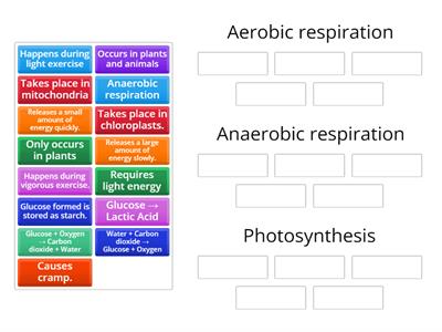 ks3 photosynthesis and respiration worksheet