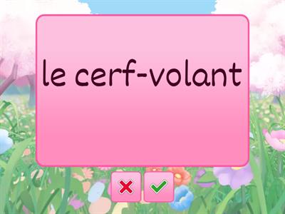Core French Grade 3&4 Spring Vocabulary