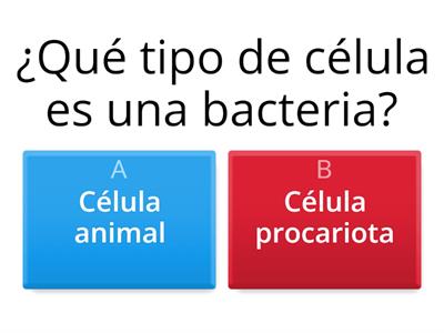 Ciencias Naturales - Célula