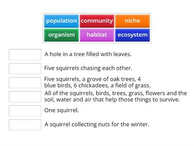 Biodiversity and Ecosystem Examples