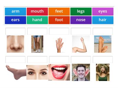 Brainy 4 - welcome unit - body parts