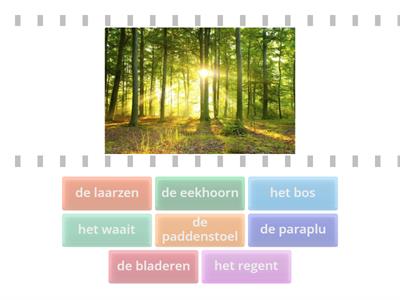 Woordenschat - de herfst - groep 3 #Meester Max