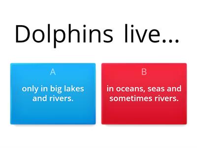 DOLPHINS' FACTS