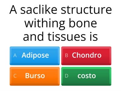 Choose the appropriate medical terms for the following system (Musculoskeletal, Integumentary  Lymph and endocrine )
