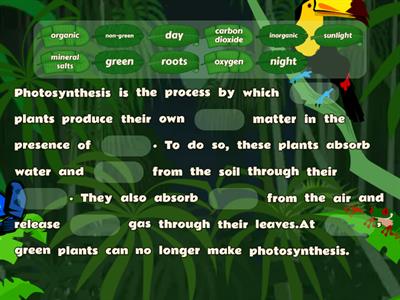 Photosynthesis Needs Grade 5