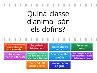 Comprensió lectora (lectures Ed. ANAYA per a 3r de Primària)