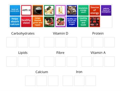 Year 8 Nutrients