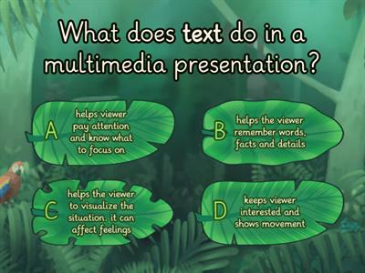 G5 What is Multimedia Practice Accelerate