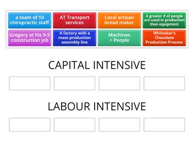 Capital vs. Labour Intensive