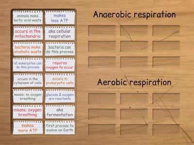 Anerobic Resiration verses Aerobic Respiration
