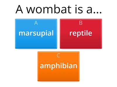 WOMBAT