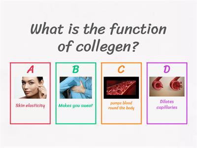 Recap Facial Quiz