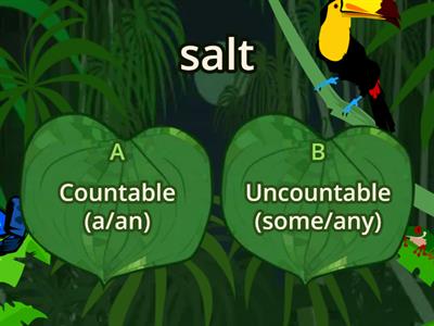 Countable and uncountable nouns