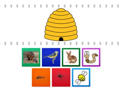 Match the animal with its home