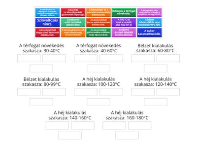 Sütés_A tésztában lejátszódó változások