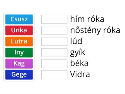 3.a - Milyen fajtájú állat regénybeli elnevezése? 