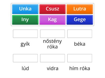 3.a - Milyen fajtájú állat regénybeli elnevezése? 