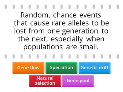 Evolution Vocab Match Up