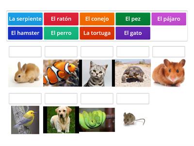 Los animales