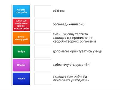 Загальна характеристика риб