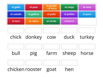 Grade 5: Farm Animals Match up