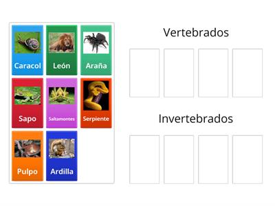 Animales vertebrados e invertebrados