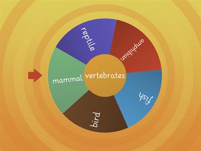 vertebrates wheel