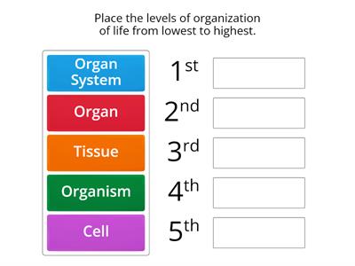 Life: Levels of Organization