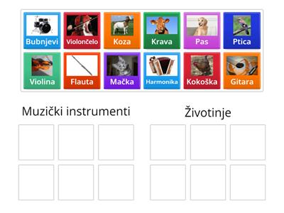 Muzički instrumenti i životinje