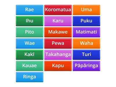 Body parts in te reo Māori