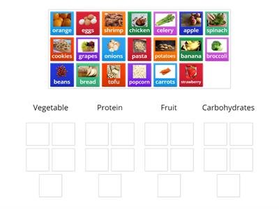 Vegetable and Protein Sort