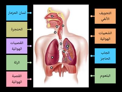 مسار الهواء