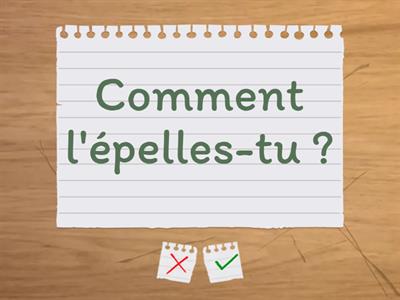 4e SEGPA Basic Conversation cards - Savoir poser les questions