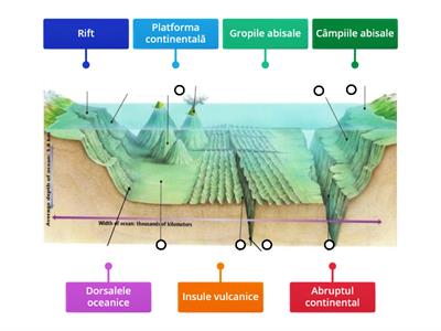 Formele de relief oceanice